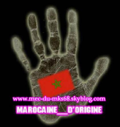 vive morocco